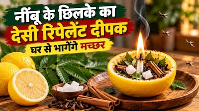 मच्छर भगाने का तरीका (इमेज AI)
