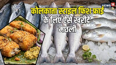 बाज़ार से मछली खरीदते समय किन बातों का ध्यान रखना चाहिए और कौन सी 4 बड़ी गलतियां करने से बचना चाहिए.(Canva)