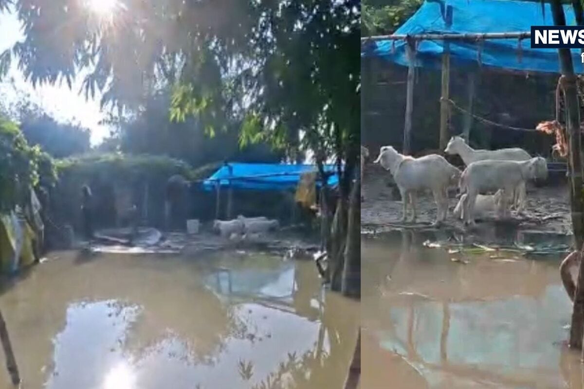 Motihari Flood: मोतिहारी में गंडक पर बना रिंग बांध टूटा, अरेराज के कई इलाकों में घुसा पानी