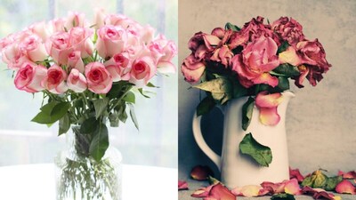 Keep Flowers Fresh Longer: Make DIY Flower Food at Home to Prevent Wilting.