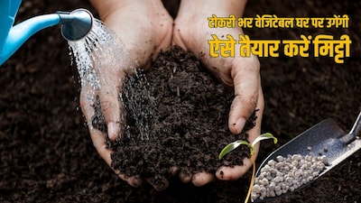 Grow Baskets Full of Veggies at Home: Easy Tips to Boost Soil Fertility