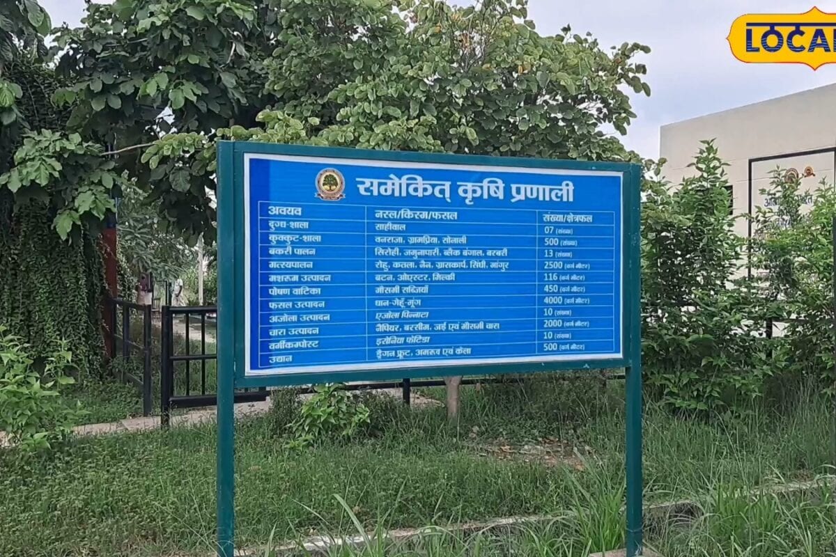 गया में तैयार हुआ कम जमीन में ज्यादा कमाई का मॉडल, कृषि विशेषज्ञ ने बताया तरीका