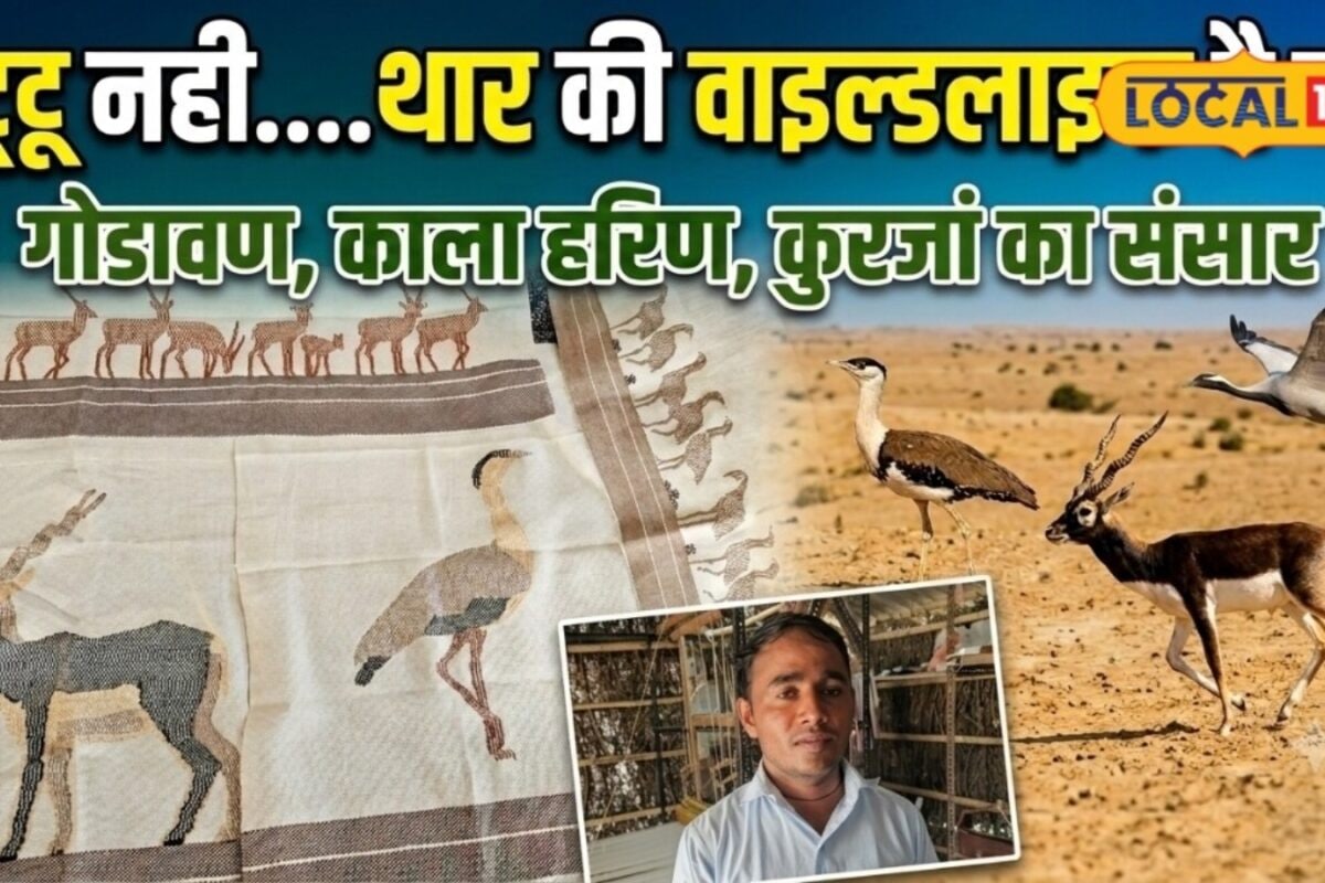 धनाऊ के खेताराम के अनोखे पट्टू पर दिखती है थार की दुनिया काला हिरण से गोडावण तक देखते ही ठहर जाती हैं नजरें