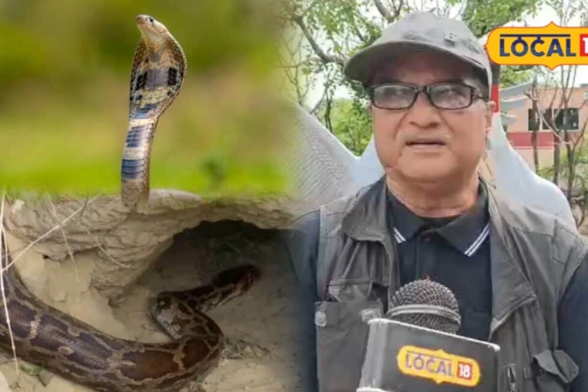 Bharatpur Ghana: सिर्फ प्रवासी पक्षी ही नहीं 13 तरह के सांप और सैकड़ों अजगर भी हैं यहां रोमांचक है घना का जंगल
