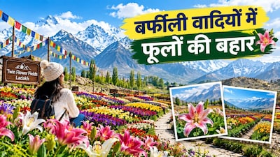लद्दाख फ्लावर गार्डन में 25 लाख फूल, टिकट सिर्फ 25 रुपये (Image-AI generated)