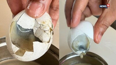 सुशांत सिन्हा ने दिखाए खराब अंडे