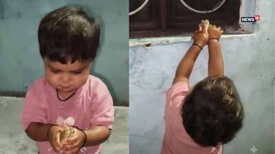 दो मेंढकों संग बच्ची की मस्ती