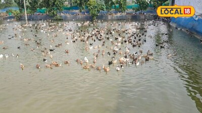 कृषि