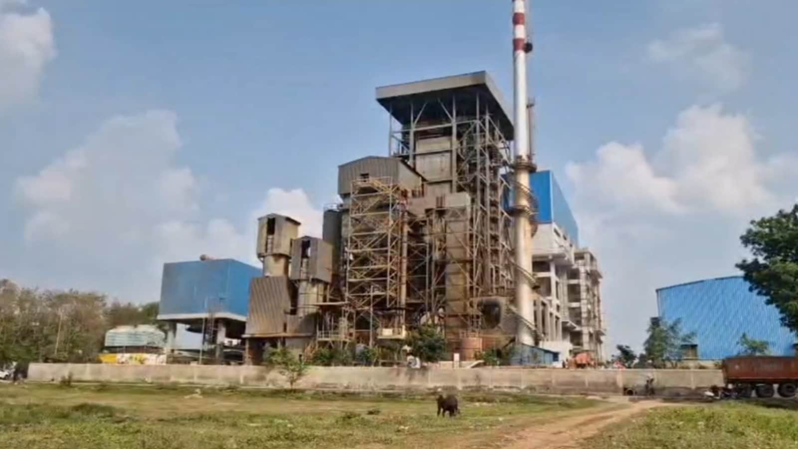 बिजली बनाने वाले प्लांट बना श्राप? बीमारियों का ठिकाना, बदबू के चलते नहीं हो रही लड़कों की शादी!