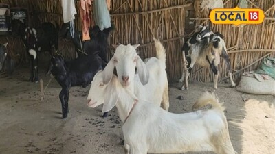 सक्सेस स्टोरी