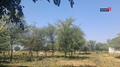 Rajasthan Panchayat Election 2026: जयपुर से 27 KM दूर गांव में पानी-सड़क का संकट, इस बार विकास पर होगा फैसला