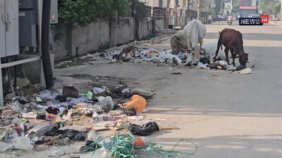 Bharatpur Sanitation News: भरतपुर में सफाई के नाम पर करोड़ों खर्च, मुख्यमंत्री आवास मार्ग पर कचरे के ढेर