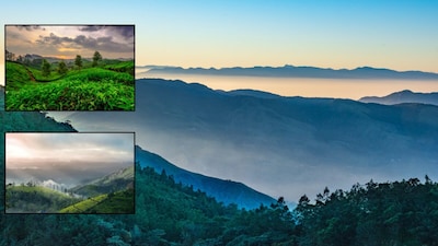 Escape to Munnar: Kerala's breathtaking hill station offers the ultimate peaceful getaway