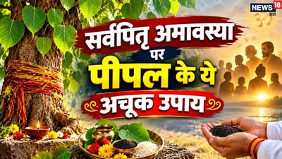 Sarva Pitru Amavasya 2026: Perform These Peepal Remedies To Please Ancestors And Lord Shani