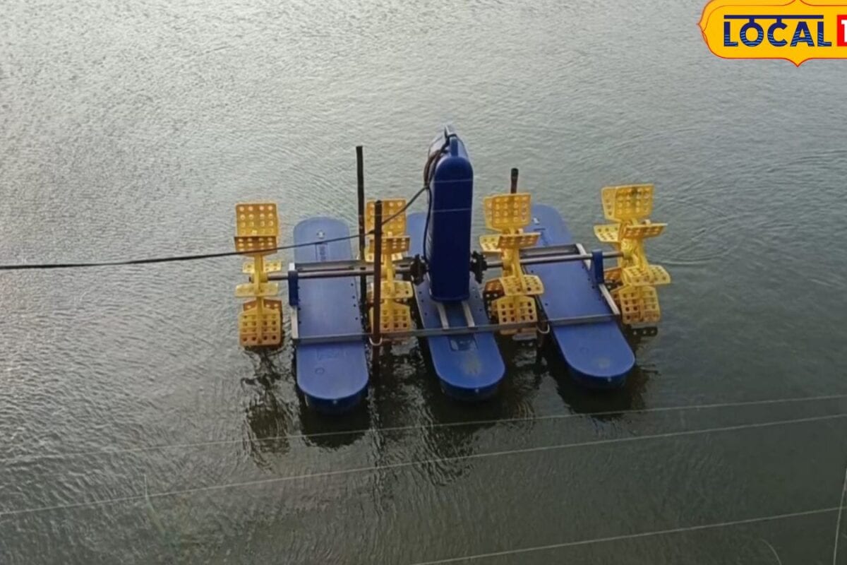 नौकरी छोड़ इस युवा ने चुना मत्स्य पालन, 4 साल में 1.5 से 12 बीघा तक पहुंचा कारोबार