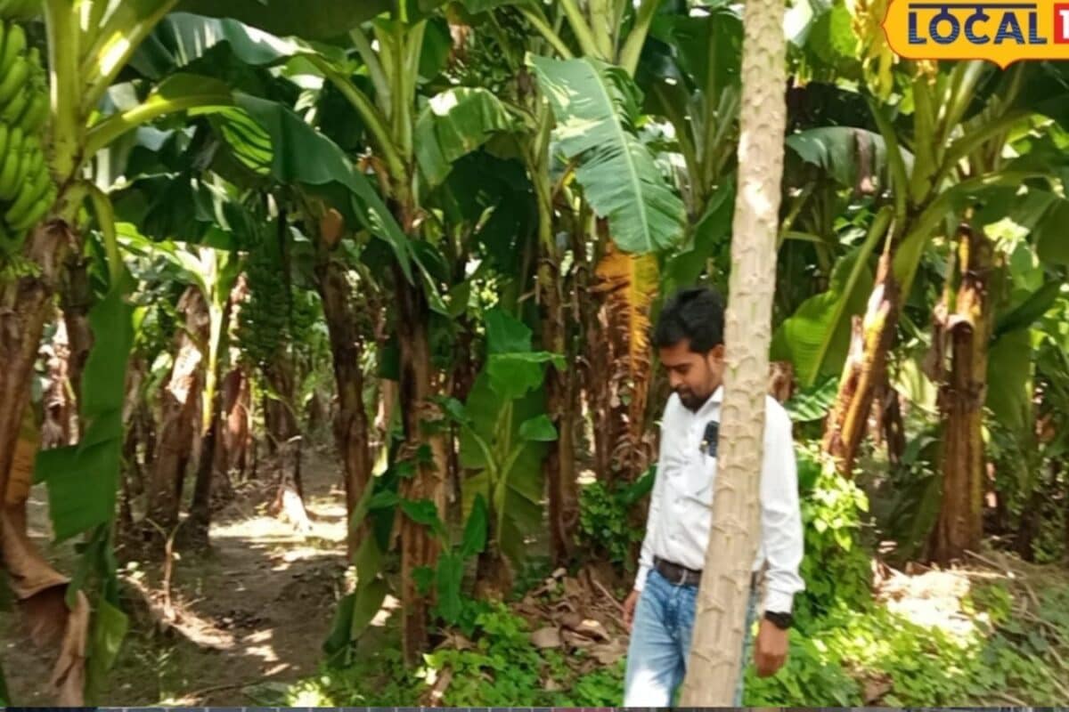 युवा किसान बना मिसाल, 180 बीघा में करता है खेती; सरकारी योजनाओं से मिला करोड़ों का फंड