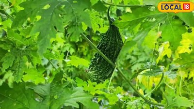 खंडवा के महिला किसानों के लिए खुशखबरी