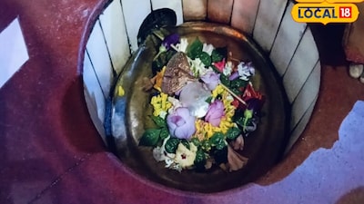 बैंगन चढ़ाने से ठीक होता है दाग