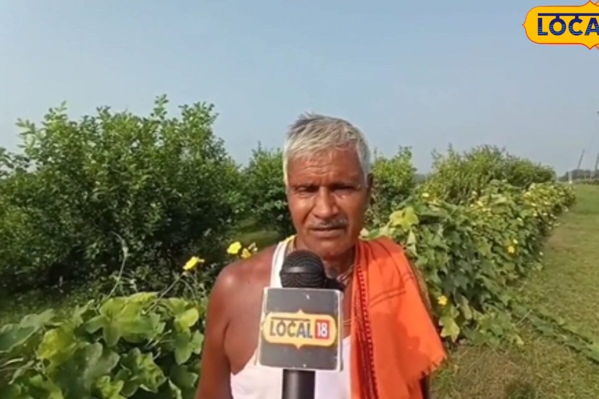 4 कट्ठा से 1 बीघा तक का सफर, सीतामढ़ी के अरुण ने नींबू की खेती से बदली किस्मत, सालाना 2.5 लाख की शुद्ध कमाई