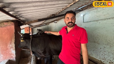 शिवम शुक्ला हैदराबाद में एक निजी कंपनी में अकाउंटेंट के पद पर कार्यरत थे. नौकरी अच्छी होने के बावजूद उनका मन नहीं लगा, जिसके बाद उन्होंने नौकरी छोड़कर अपने गांव लौटने का फैसला किया. गांव आने के बाद उन्होंने खुद का रोजगार शुरू करने का विचार किया. रोजगार शुरू करने के लिए शिवम ने कृषि विज्ञान केंद्र के वैज्ञानिक डॉ. शैलेन्द्र गौतम से संपर्क किया. उनके मार्गदर्शन और प्रधानमंत्री धन-धान्य योजना की मदद से शिवम ने डेयरी व्यवसाय की शुरुआत की.