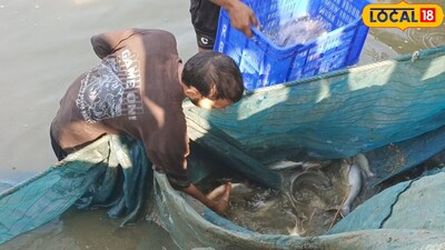 बिहार में भी मत्स्य पालन का स्तर अधिक बढ़ा है. मछली पालन के व्यवसाय से लाखों किसान जुड़े हुए हैं. हालांकि, कई किसान ऐसे हैं, जो शुरुआत करके फिर कुछ समय बंद कर देते हैं. क्योंकि यह मालूम नहीं रहता कि इस व्यवसाय को लंबे समय तक चलाने को क्या करना पड़ता है? ऐसे में आज हम जहानाबाद जिला के काको प्रखंड के अनुभवी मत्स्य किसान राजीव लोचन से समझेंगे कि आखिर क्या करना है, जिससे मत्स्य के क्षेत्र से बेहतर कमाई हो और लंबा व्यवसाय भी चल पाए?