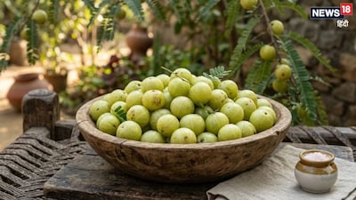 Pratapgarh: India's 'Amla Capital' Unmatched in Cultivation, Awarded GI Tag