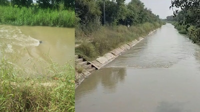 बहादुरगढ़ के गांव जसौरखेड़ी से भैंसरू जाने वाली सड़क पर नहर पर बने पुल के पास ग्रामीणों ने महिला और पुरुष के शव तैरते हुए देखे. 