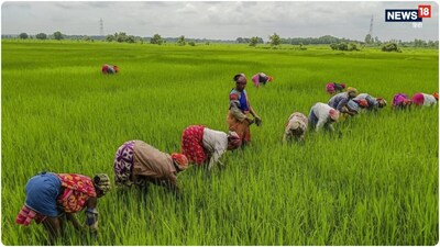 मजदूरों के अधिकार को लेकर जयराम रमेश ने केंद्र सरकार पर निशाना साधा. (सांकेतिक तस्वीर)
