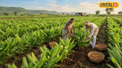 Protect Paddy From False Smut Without Costly Machines Using Simple Trick