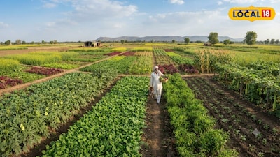 Moradabad Farmer Quits Chemical Farming for Vermicompost and Organic Success