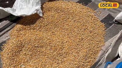 Make Mountain-Style Naurangi Flour at Home: Taste and Nutrition Combined!