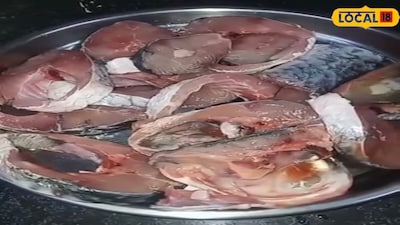 Why Pangasius Fish Is Gaining Massive Popularity Due To Fewer Bones