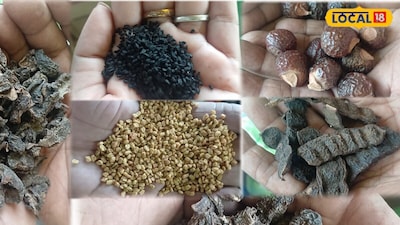 Stop Hair Fall And Dryness Naturally With These 5 Ayurvedic Remedies