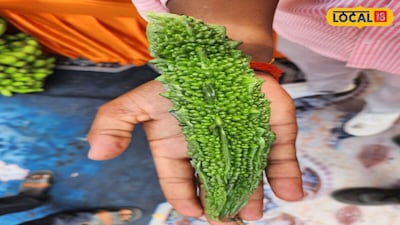 Bahraich Farmers Earn Big Profits Using Trellis Method for Bitter Gourd Cultivation