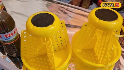 Protect Crops From Flying Pests With Solar Light Trap For Just 204 Rupees