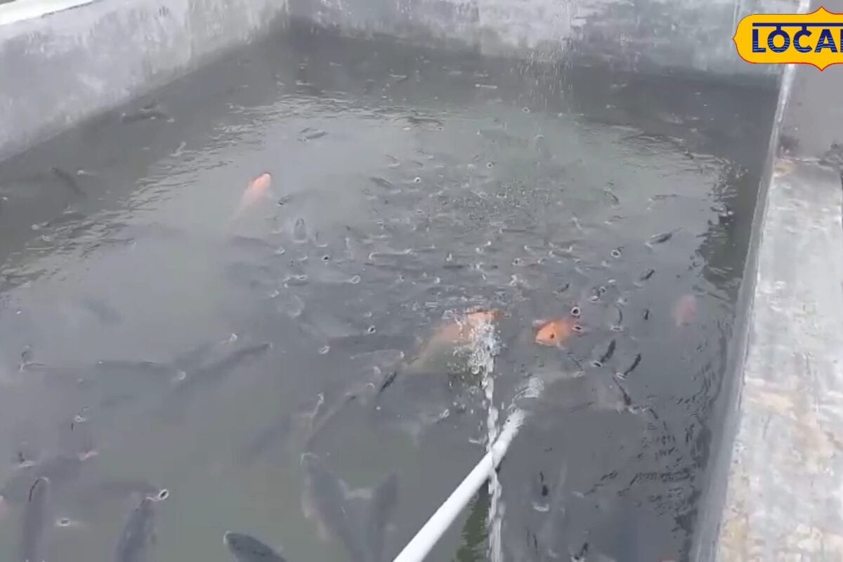 नौकरी की तलाश में बिहार छोड़ने से किया इंकार, सुबोध ने गांव में ही शुरू किया मछली पालन, आज औरों को दे रहे रोजगार