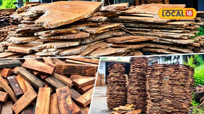 Beyond Teak: 5 Water-Resistant Woods Perfect for Outdoor Furniture!
