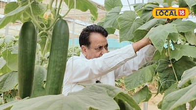 ATMA Scheme: Farmers Can Win Up to 50K for Agricultural Innovations, Apply by Oct 30.