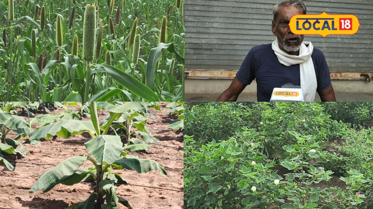 60 वर्षीय किसान मिक्स खेती से बढ़ा रहे आमदनी