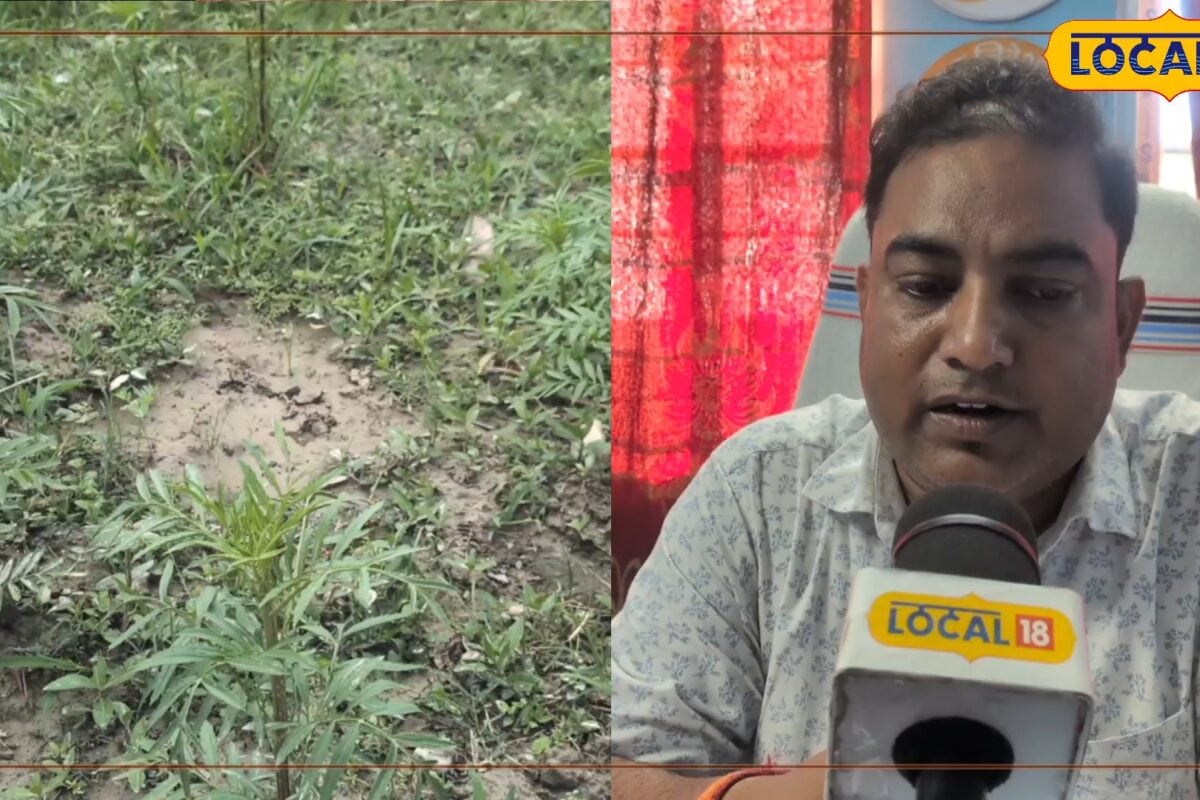गेंदा उगाइए, ₹80 हजार पाइए! मुंगेर को ‘फ्लावर विलेज’ बनाने की तैयारी, किसान ऐसे उठाएं लाभ