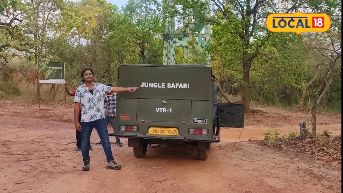 मानसून के बाद फिर खुलने को तैयार है VTR, 16 अक्टूबर से शुरू होगा जंगल सफारी