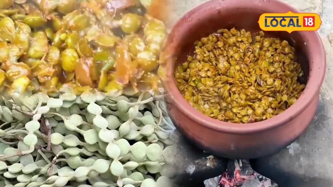 पारंपरिक मारवाड़ जायका: पाली में देसी बबूल के कोमल पत्तों की सब्जी फिर चर्चा में