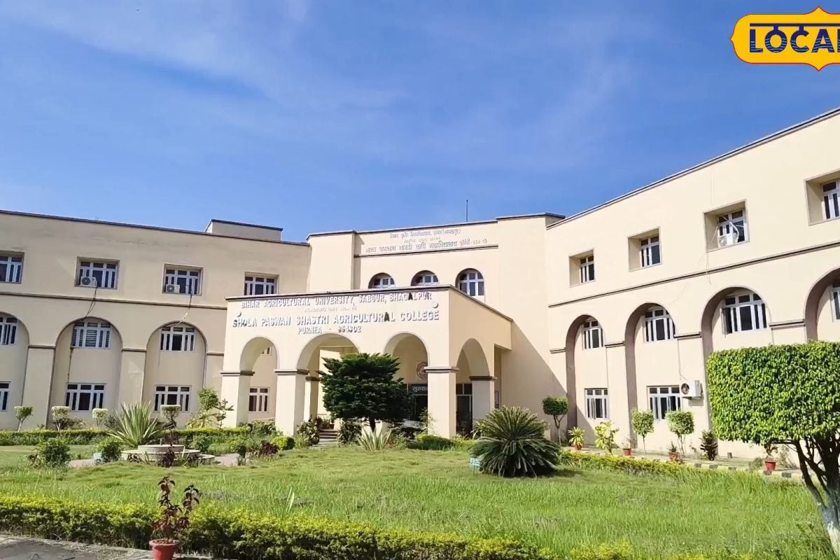 पूर्णिया के किसानों के लिए बेस्ट हैं सरसों की ये 2 किस्में, 100 दिन में तैयार होगी फसल, तेल भी मिलेगा भरपूर