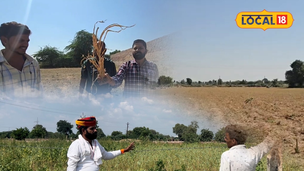 राजस्थान सरकार ने 13 जिलों की 53 तहसीलों को सूखाग्रस्त किया घोषित