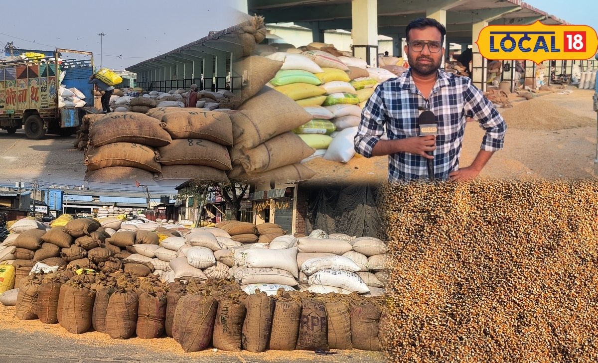 Bhilwara Maize Reaches Iran and Iraq, Boosting Industrial Demand