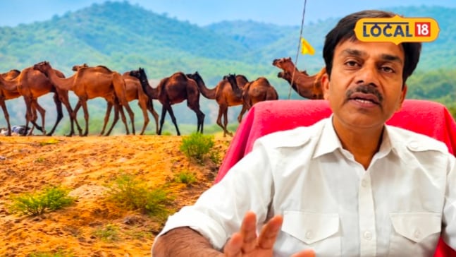 Pushkar Animal Fair 2026 Ensures Comprehensive Healthcare and Free Veterinary Services for Livestock