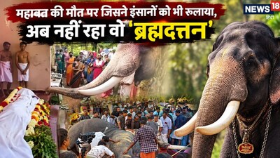 महावत की अंतिम विदाई में जिसने जीता था दिल, अब नहीं रहा वो मशहूर हाथी ब्रह्मदत्तन