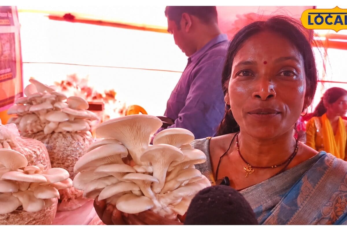 Business Idea: ₹400 खर्च 30 दिन में ₹1000 तक की फसल! समस्तीपुर की रीता से सीखें मशरूम बिजनेस