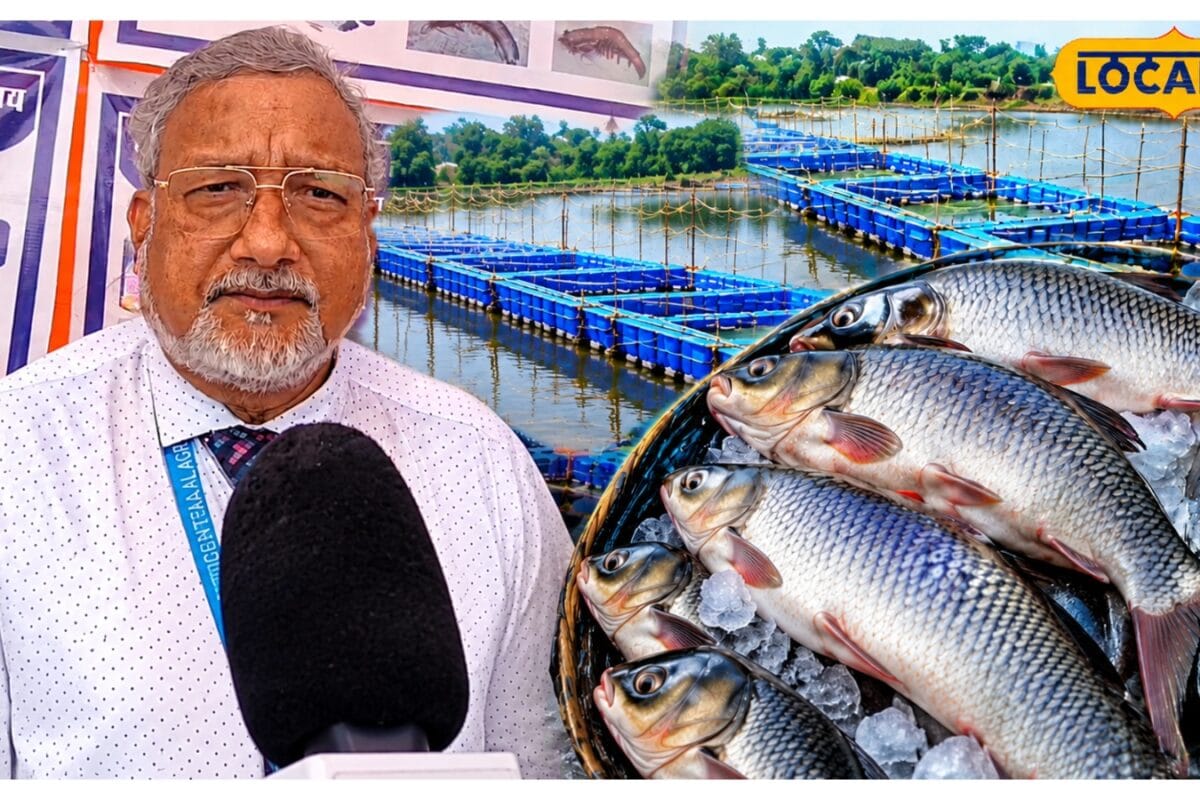 मछली पालकों की बढ़ेगी कमाई 150 किलो की मछली बिकेगी ₹450 किलो तक RPCAU ने की खास तैयारी