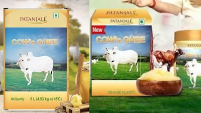 पतंजलि गाय का एक बैच मध्य प्रदेश में अनसेफ